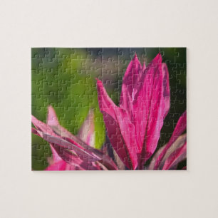 Puzzle BAHAMAS, Isla Nueva Providencia, Nassau:Paraíso