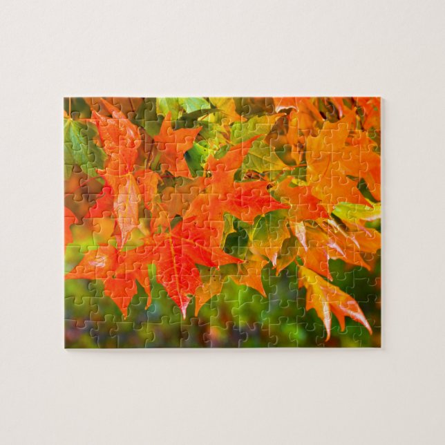 Puzzle Baile de hojas de arce (Horizontal)