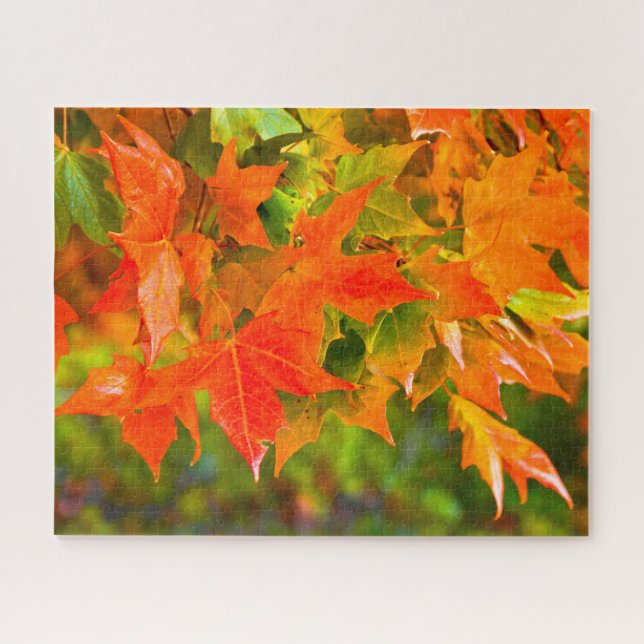 Puzzle Baile de hojas de arce (Horizontal)