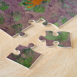 Puzzle Bajo el Mar