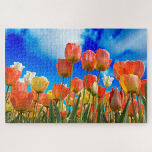 Puzzle Bajo un cielo de tulipanes
