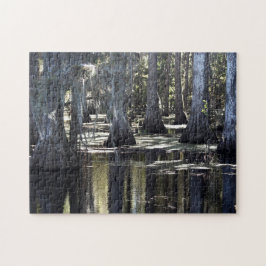Puzzle Bald Cypress
