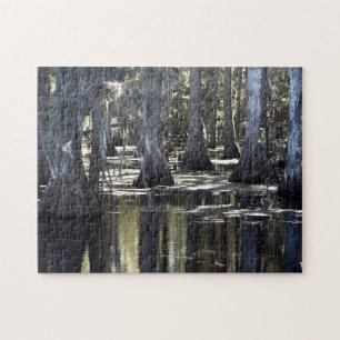 Puzzle Bald Cypress