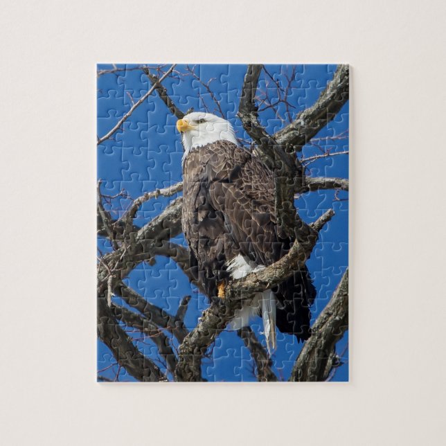 Puzzle Bald Eagle (Vertical)