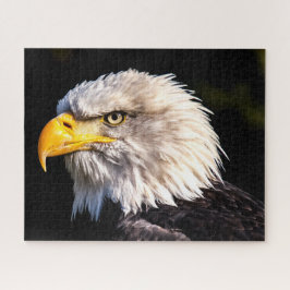 Puzzle Bald Eagle