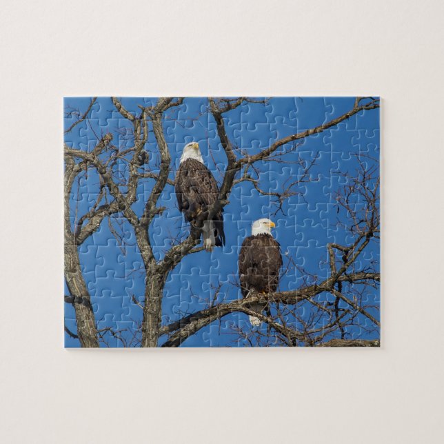 Puzzle Bald Eagle Pair (Horizontal)