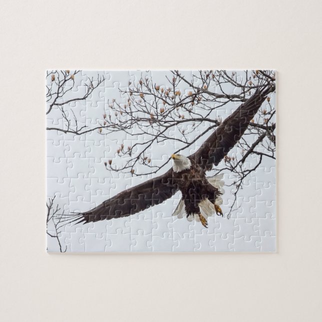 Puzzle Bald Eagle Wingspread (Horizontal)