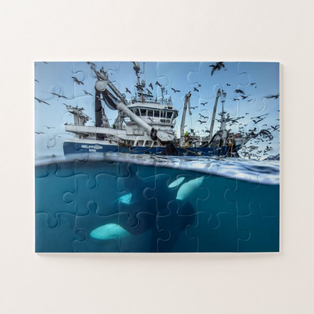 Puzzle Ballena asesina Orca Barco de pesca comercial Océa (Horizontal)