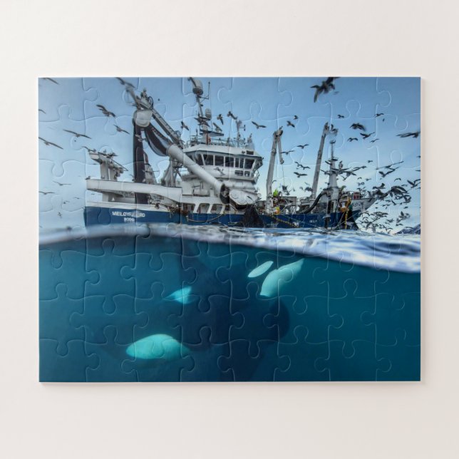 Puzzle Ballena asesina Orca Barco de pesca comercial Océa (Horizontal)