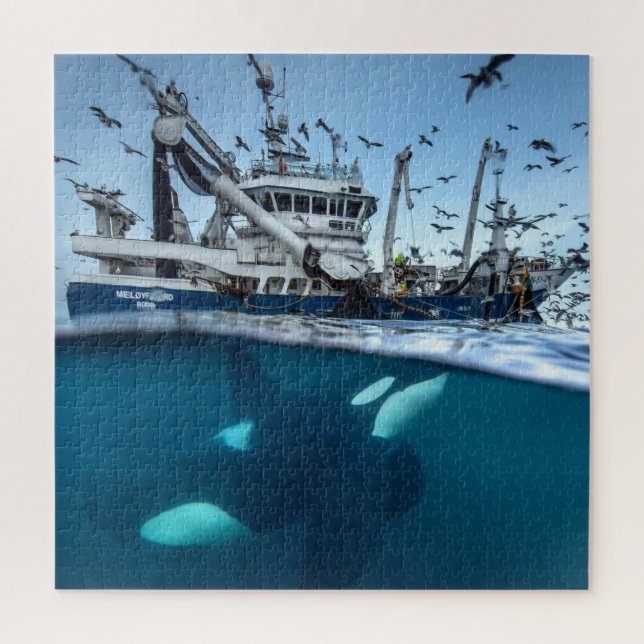 Puzzle Ballena asesina Orca Barco de pesca comercial Océa (Vertical)