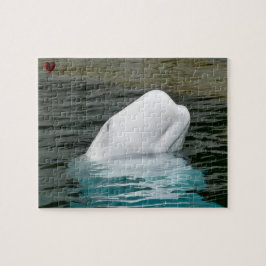 Puzzle Ballena Beluga Alaska