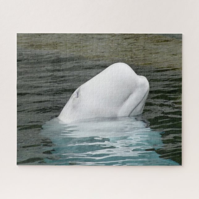 Puzzle Ballena Beluga Alaska (Horizontal)