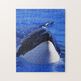 Puzzle Ballena de Killr de la orca