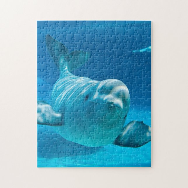 Puzzle Ballena de la beluga (Vertical)
