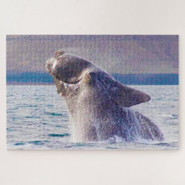 Puzzle Ballena derecha