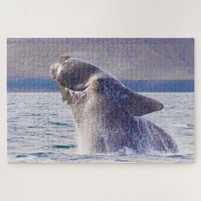 Puzzle Ballena derecha (Horizontal)