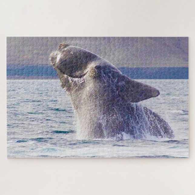 Puzzle Ballena derecha (Horizontal)
