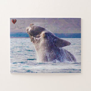 Puzzle Ballena derecha