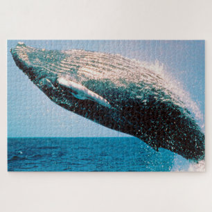 Puzzle Ballena jorobada Alaska