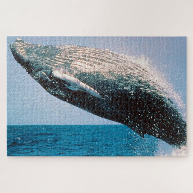 Puzzle Ballena jorobada Alaska (Horizontal)
