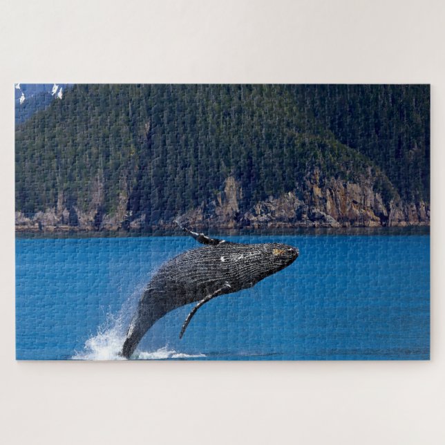 Puzzle Ballena jorobada Alaska (Horizontal)