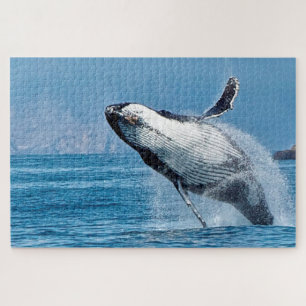 Puzzle Ballena jorobada Alaska