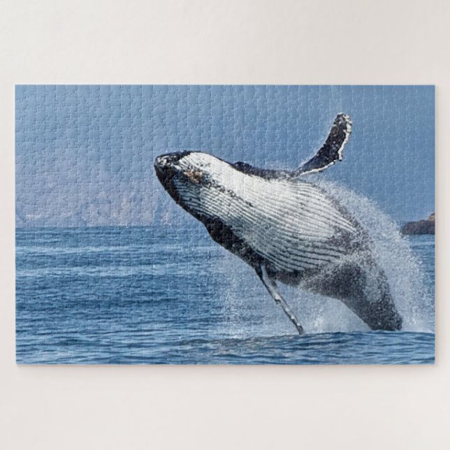 Puzzle Ballena jorobada Alaska (Horizontal)