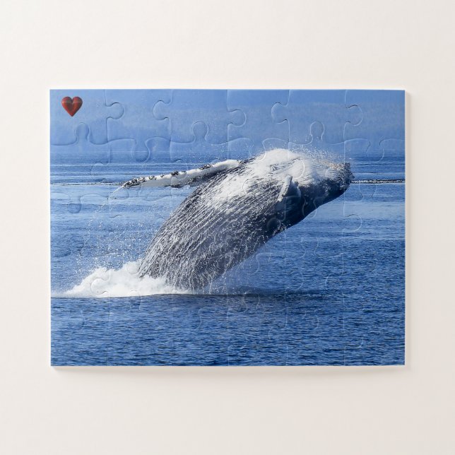 Puzzle Ballena jorobada Alaska (Horizontal)