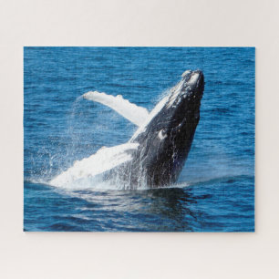 Puzzle Ballena jorobada Alaska