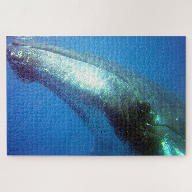 Puzzle Ballena jorobada Alaska (Horizontal)