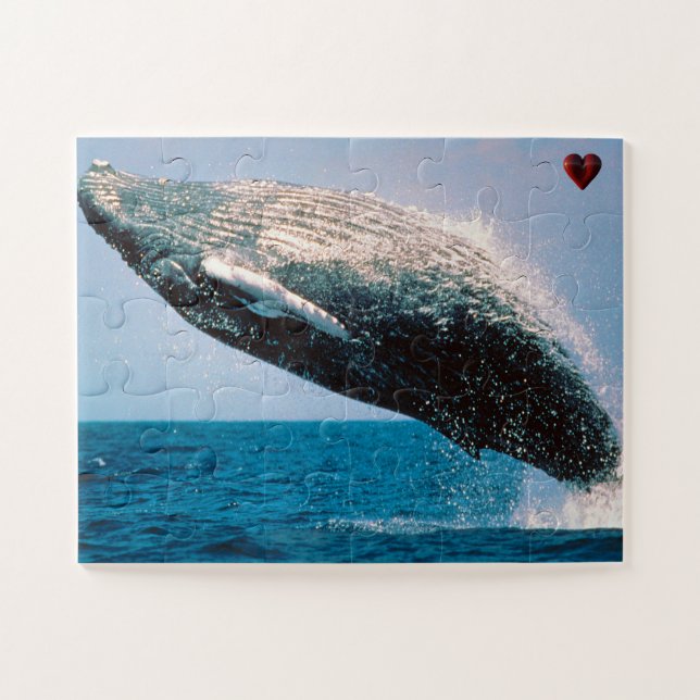 Puzzle Ballena jorobada Alaska (Horizontal)