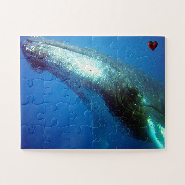 Puzzle Ballena jorobada Alaska (Horizontal)