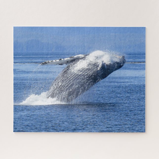 Puzzle Ballena jorobada Alaska (Horizontal)