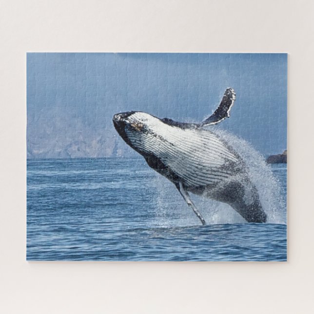 Puzzle Ballena jorobada Alaska (Horizontal)