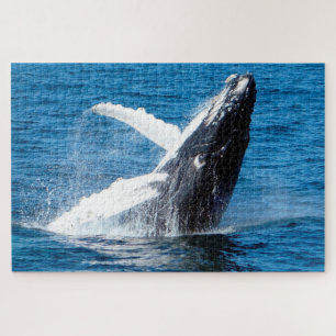 Puzzle Ballena jorobada Alaska
