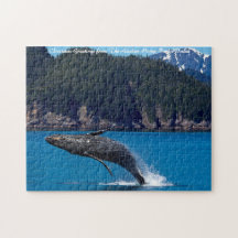 Ballena jorobada rompiendo la superficie. Saludos