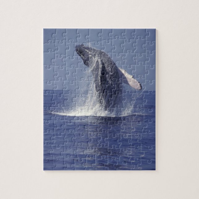 Puzzle Ballena jorobada rompiendo (Megaptera (Vertical)