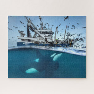 Puzzle Ballena Orca Barco Pesquero Comercial Océano