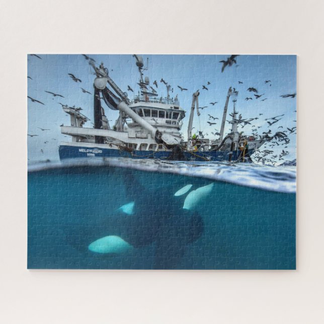 Puzzle Ballena Orca Barco Pesquero Comercial Océano (Horizontal)