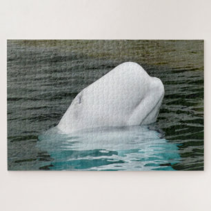 Puzzle Ballenas Beluga