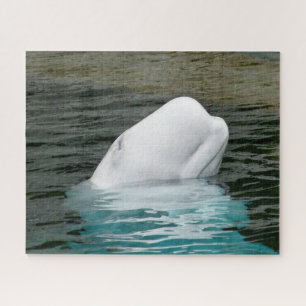 Puzzle Ballenas Beluga