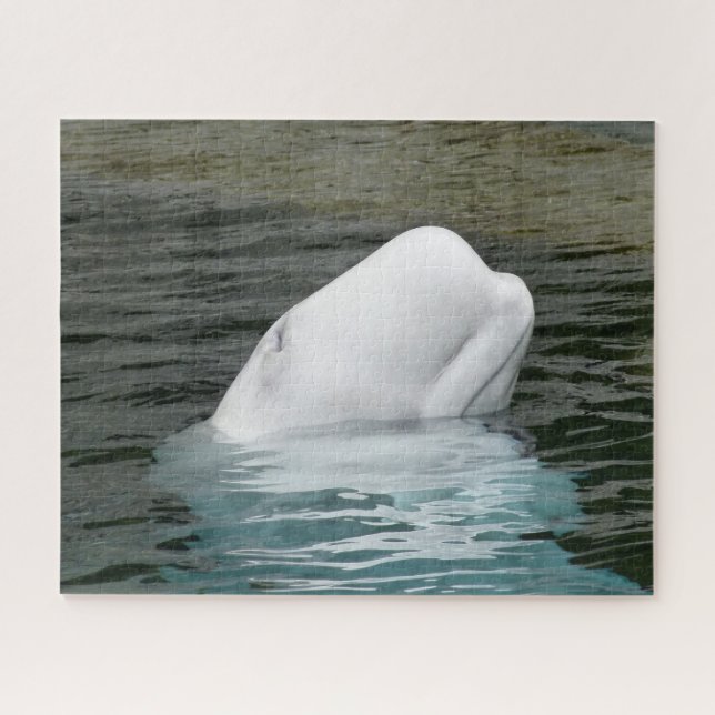 Puzzle Ballenas Beluga (Horizontal)