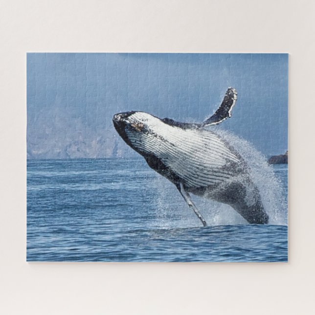 Puzzle Ballenas jorobadas de Jigsaw. (Horizontal)