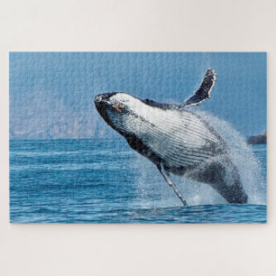 Puzzle Ballenas jorobadas de Jigsaw.