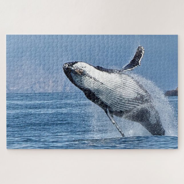 Puzzle Ballenas jorobadas de Jigsaw. (Horizontal)