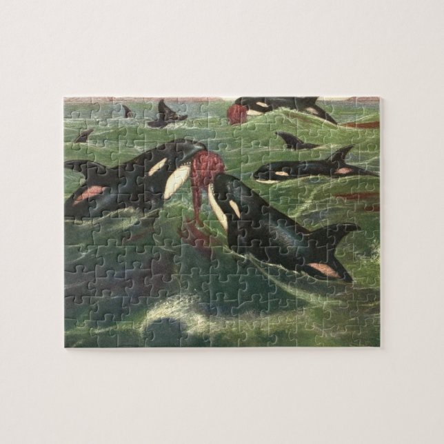 Puzzle Ballenas o orcas asesinas, mamíferos marinos (Horizontal)
