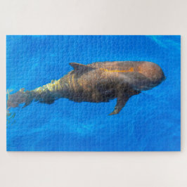 Puzzle Ballenas piloto de Jigsaw
