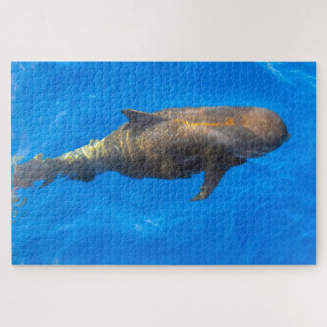 Puzzle Ballenas piloto de Jigsaw (Horizontal)