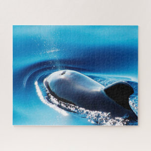 Puzzle Ballenas piloto de Jigsaws