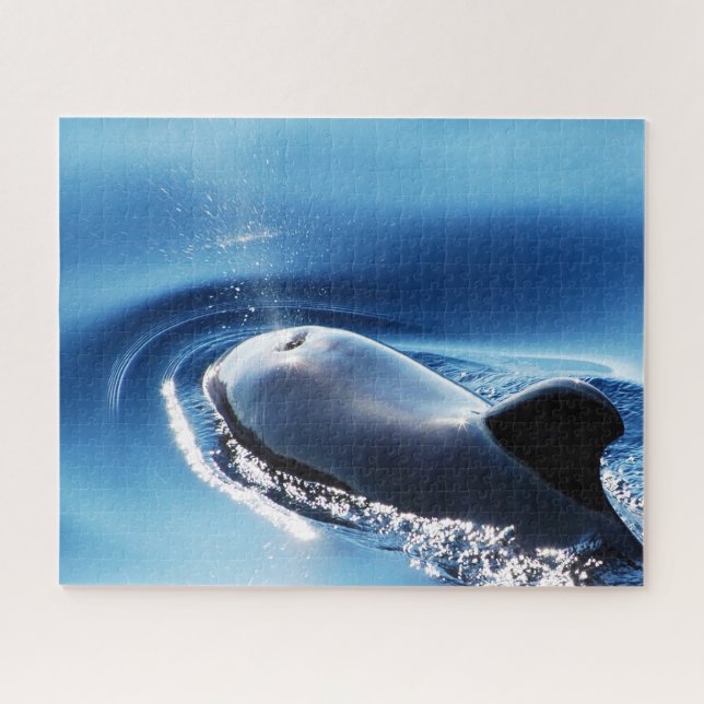 Puzzle Ballenas piloto de Jigsaws (Horizontal)